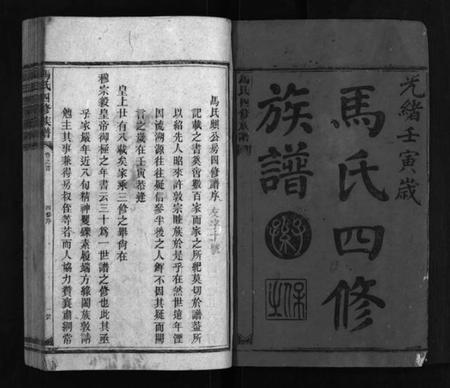 湖南马氏族谱-马氏四修族谱 [16卷,首1卷].pdf电子版插图2