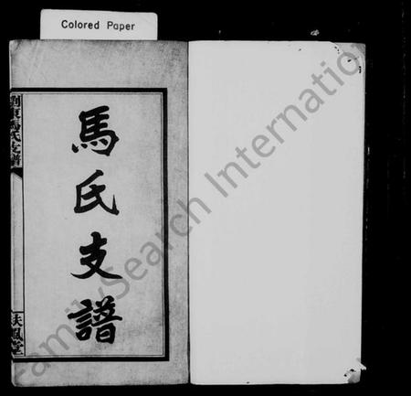 湖南马氏族谱-马氏支谱.pdf电子版插图2