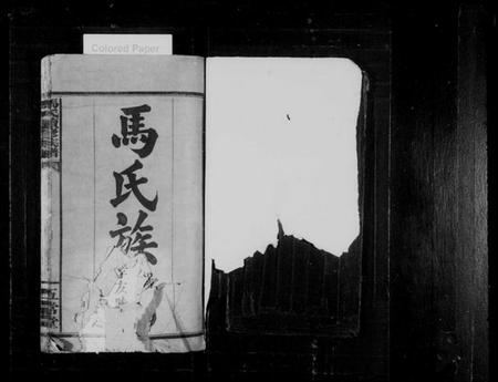 湖南马氏族谱-马氏族谱 [8卷,含卷首].pdf电子版插图2