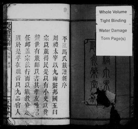 湖南马氏族谱-马氏族谱 [8卷,含卷首].pdf电子版插图4