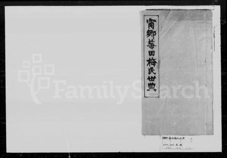 湖南梅氏族谱-甯乡莓田梅氏世典.pdf电子版插图1