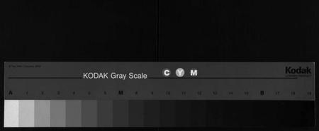 湖南莫氏族谱-莫氏续修族谱 [11卷,系图2卷,首2卷].pdf电子版