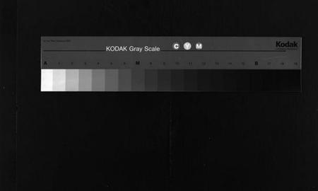 湖南莫氏族谱-莫氏四修族谱 [22卷].pdf电子版