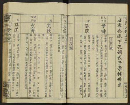 湖南甯氏族谱-甯氏族谱 [22卷].pdf电子版插图4