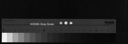 湖南欧氏族谱-欧氏九修族谱 [13卷含卷首,末1卷].pdf电子版