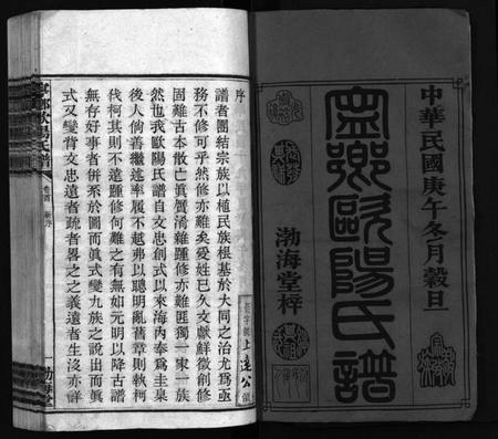 湖南欧阳氏族谱-宁乡欧阳氏钟房谱.pdf电子版插图2