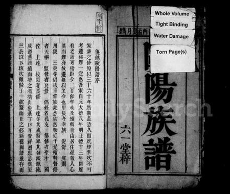 湖南欧阳氏族谱-欧阳族谱 [4卷,首末各1卷].pdf电子版插图4