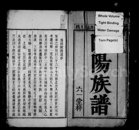 湖南欧阳氏族谱-欧阳族谱 [4卷,首末各1卷].pdf电子版插图5