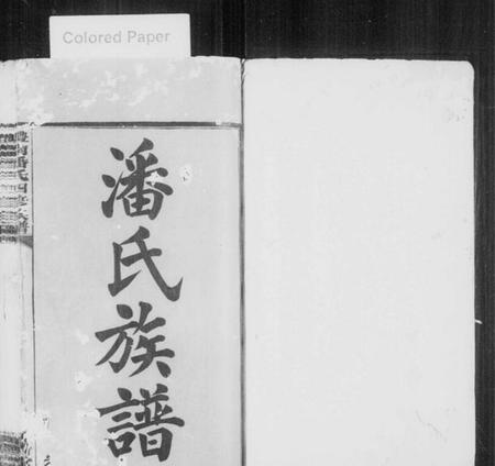 湖南潘氏族谱-醴南潘氏四修族谱.pdf电子版插图2