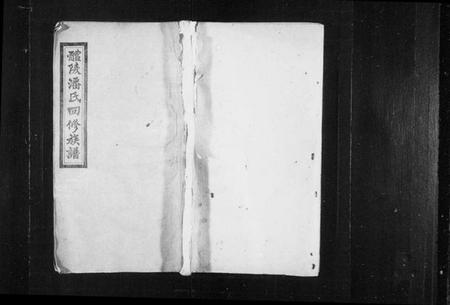 湖南潘氏族谱-醴陵潘氏四修族谱 [6卷,首2卷].pdf电子版插图1