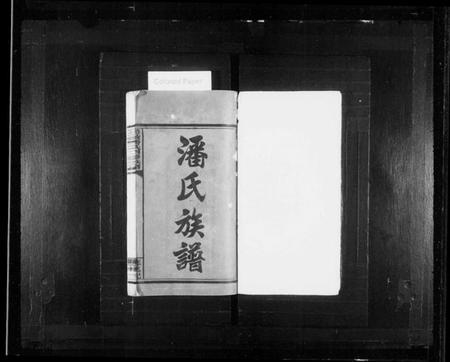 湖南潘氏族谱-醴陵潘氏四修族谱 [6卷,首2卷].pdf电子版插图2