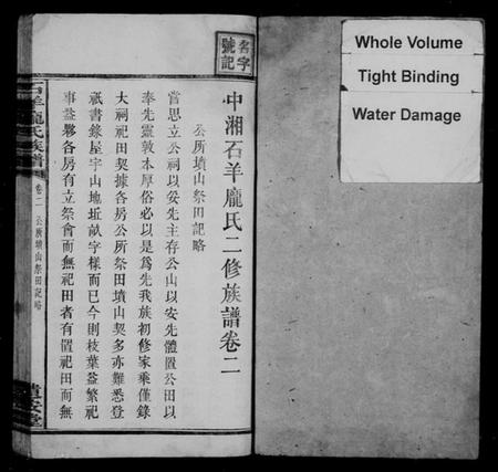 湖南庞氏族谱-中湘石羊庞氏二修族谱 [27卷,首末各1卷].pdf电子版插图3