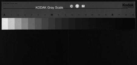 湖南彭氏族谱-上湘石花彭氏族谱[26卷, 卷首上中下, 续卷首1].pdf电子版