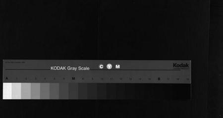 湖南彭氏族谱-彭氏五修族谱[59卷,首2卷,末3卷].pdf电子版