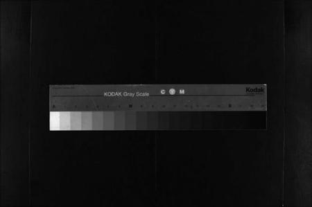 湖南彭氏族谱-彭氏六修族谱 [60卷,首末各3卷].pdf电子版