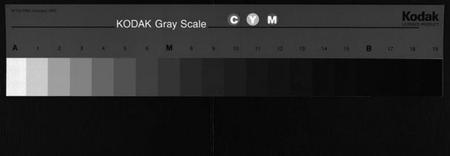湖南彭氏族谱-彭氏四修族谱[31卷,首3卷,末5卷].pdf电子版