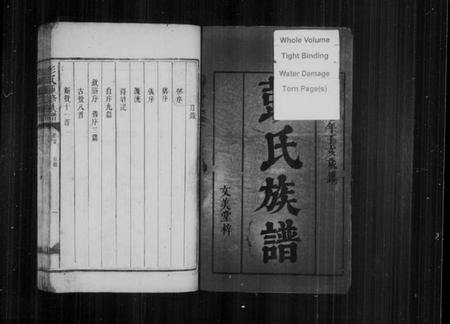 湖南彭氏族谱-彭氏族谱 [4卷].pdf电子版插图3