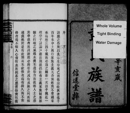 湖南彭氏族谱-皁角树彭氏四修族谱 [派纪4卷,齿录16卷,首3卷,末1卷].pdf电子版插图3