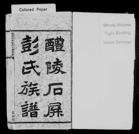 湖南彭氏族谱-醴陵石屏彭氏族谱 [22卷,首末各1卷].pdf电子版插图2