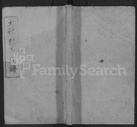 湖南彭氏族谱-大邨彭氏族谱 [18卷,首3卷].pdf电子版