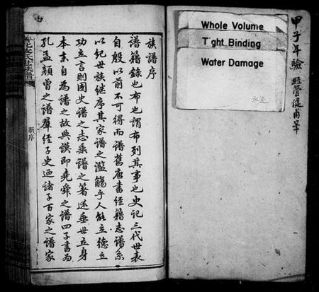 湖南皮氏族谱-善化皮氏世族谱 [16卷].pdf电子版插图1