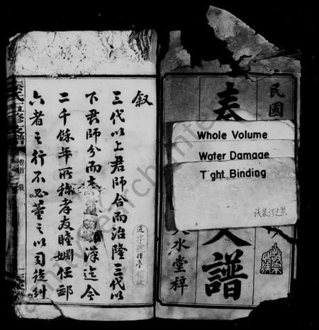 湖南秦氏族谱-秦氏支谱 [5卷,及卷首].pdf电子版插图3