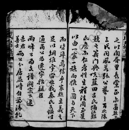 湖南秦氏族谱-秦氏支谱 [5卷,及卷首].pdf电子版插图4