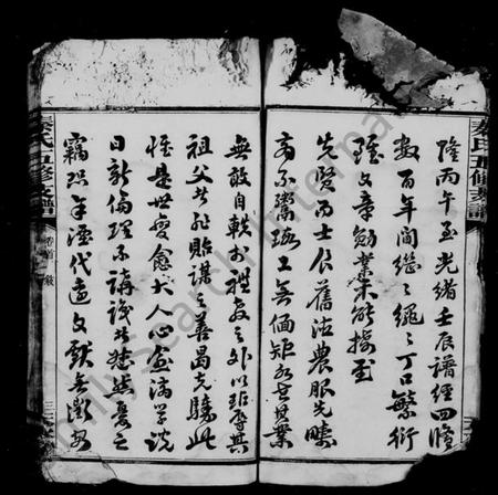 湖南秦氏族谱-秦氏支谱 [5卷,及卷首].pdf电子版插图5