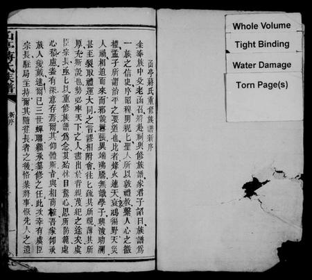 江西蒋氏族谱-〇亭蒋氏族谱.pdf电子版插图2 江西蒋氏族谱-〇亭蒋氏族谱.pdf电子版插图2