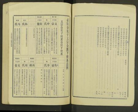 湖南佘氏族谱-邵东佘氏五修族谱[2册].pdf电子版插图4