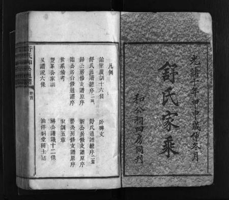 湖南舒氏族谱-舒氏和公通谱 [不分卷].pdf电子版插图2