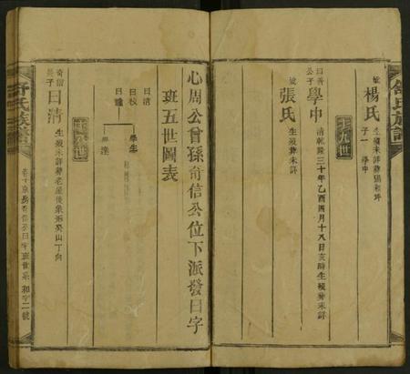 湖南舒氏族谱-舒氏方公房谱 [存20卷及卷首].pdf电子版插图2