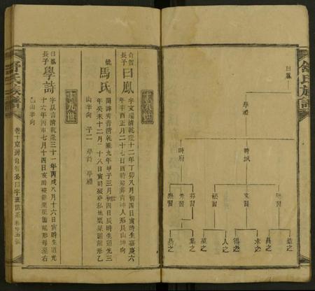 湖南舒氏族谱-舒氏方公房谱 [存20卷及卷首].pdf电子版插图5