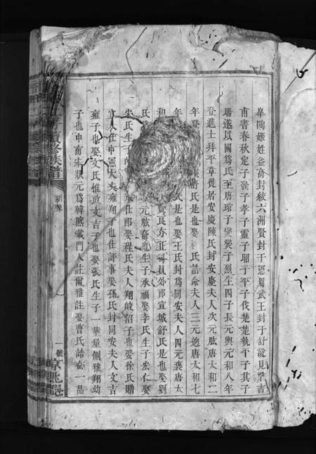 湖南舒氏族谱-舒氏族谱 [3卷].pdf电子版插图3