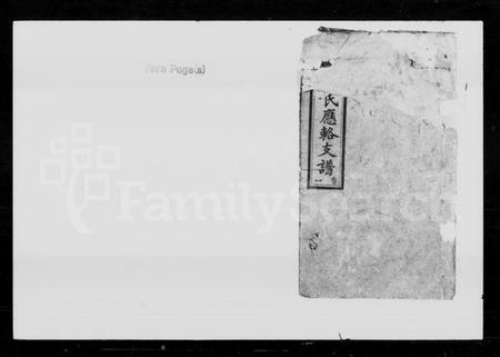 湖南宋氏族谱-宋氏应辂支谱 [8卷].pdf电子版插图1