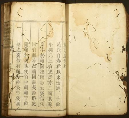 江西赖氏族谱-株镇赖祠族谱.pdf电子版插图1