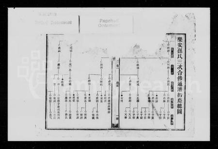 湖南孙氏族谱-孙氏三修通谱 [残卷].pdf电子版插图2