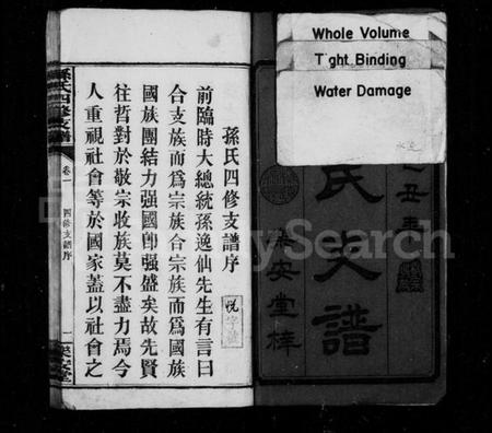 湖南孙氏族谱-孙氏支谱 [4卷].pdf电子版插图2