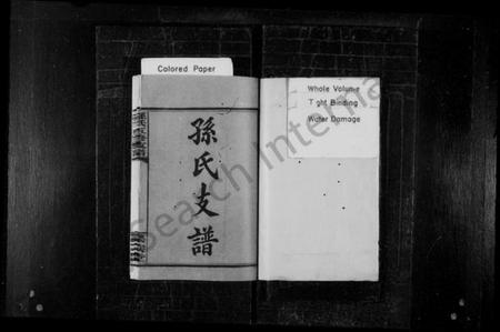 湖南孙氏族谱-孙氏支谱 [8卷].pdf电子版插图2