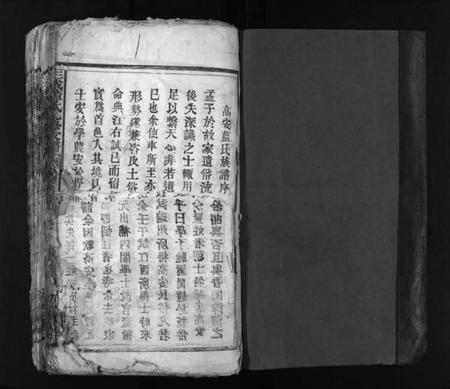 江西蓝氏族谱-蓝氏九修家谱 [60卷].pdf电子版插图2