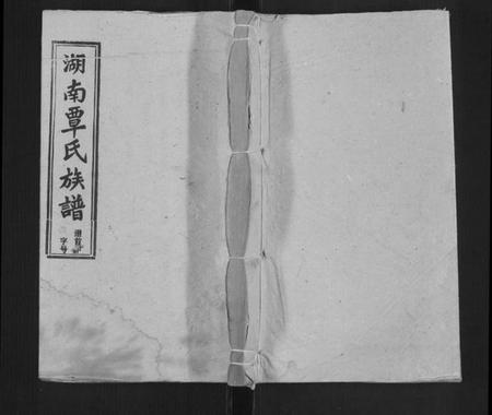 湖南覃氏族谱-湖南覃氏四续族谱[20卷,首6册].pdf电子版