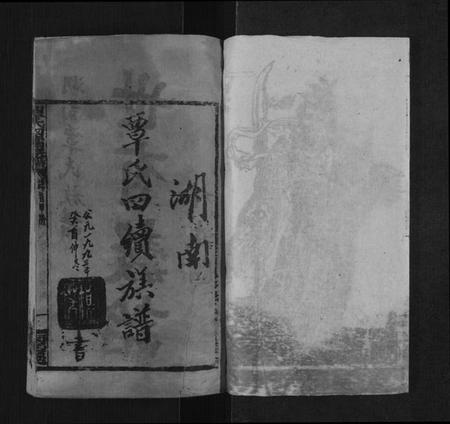 湖南覃氏族谱-湖南覃氏四续族谱[20卷,首6册].pdf电子版插图2