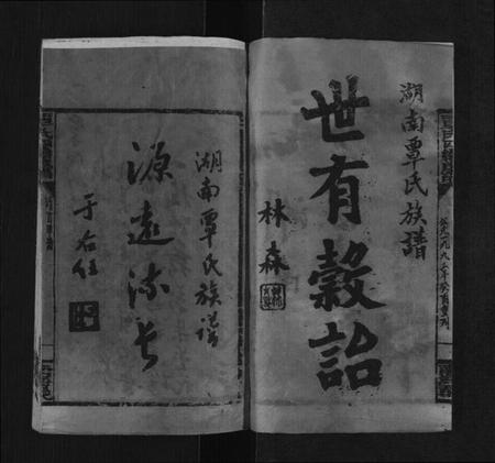 湖南覃氏族谱-湖南覃氏四续族谱[20卷,首6册].pdf电子版插图3