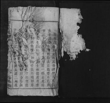 湖南覃氏族谱-覃氏族谱[总卷数不详].pdf电子版插图2