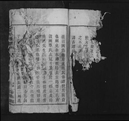 湖南覃氏族谱-覃氏族谱[总卷数不详].pdf电子版插图3