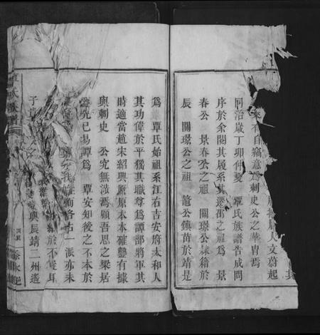 湖南覃氏族谱-覃氏族谱[总卷数不详].pdf电子版插图4