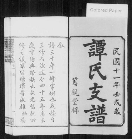 湖南谭氏族谱-湘潭学前谭氏四修支谱 [15卷].pdf电子版插图2