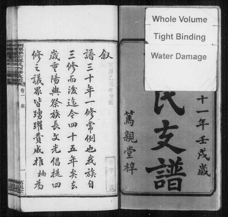 湖南谭氏族谱-湘潭学前谭氏四修支谱 [15卷].pdf电子版插图3