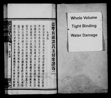 湖南谭氏族谱-沩宁河头谭氏家谱.pdf电子版插图2