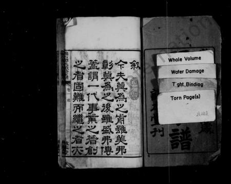 湖南谭氏族谱-谭氏家谱 [16卷].pdf电子版插图3